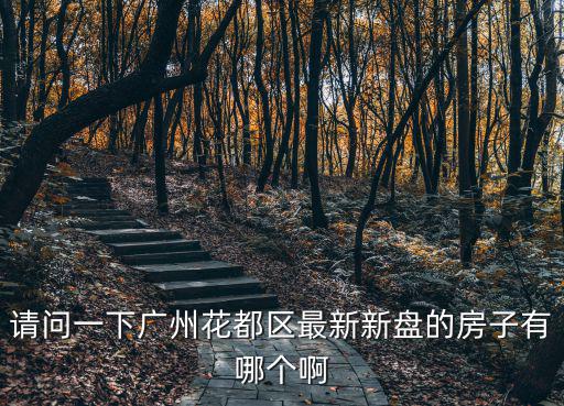 廣州花都區(qū) 樓盤，廣州花都有哪些新樓盤2010年