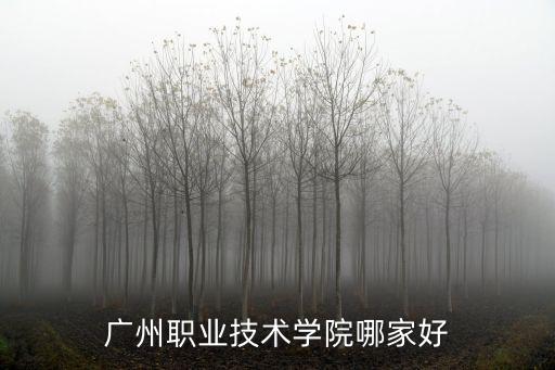 廣州職業技術學院哪家好