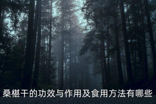 桑椹干的功效與作用及食用方法有哪些