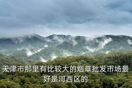 天津市河北區大天津煙酒店，天津賣酒哪里保真價格又公道的