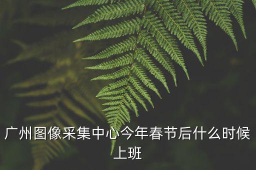 廣州圖像采集中心今年春節(jié)后什么時候上班
