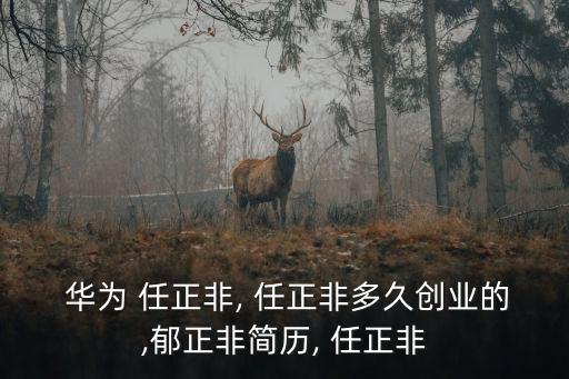 華為任正非,任正非年齡:77歲曾任華為公司總裁