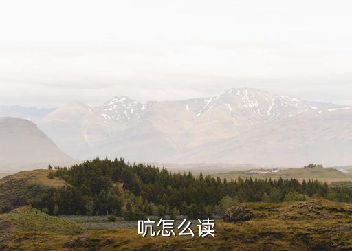 吭怎么讀