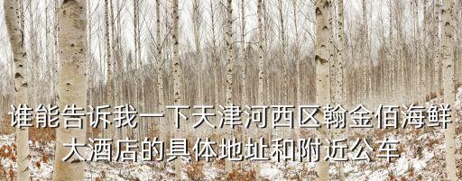 天津市河西區瀚金佰酒店，佰金瀚酒店在哪里