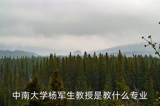 劉樹文教授，中南大學楊軍生教授是教什么專業