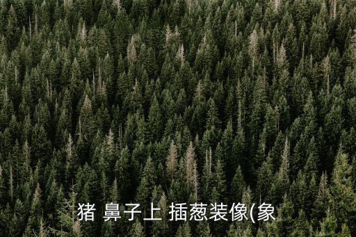 豬鼻子插蔥,歇后語:豬鼻子插大蔥裝模作樣