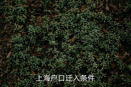 上海戶口遷入條件