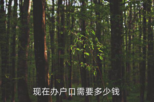 現在辦戶口需要多少錢