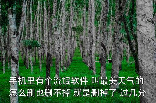 手機里有個流氓軟件 叫最美天氣的 怎么刪也刪不掉 就是刪掉了 過幾分