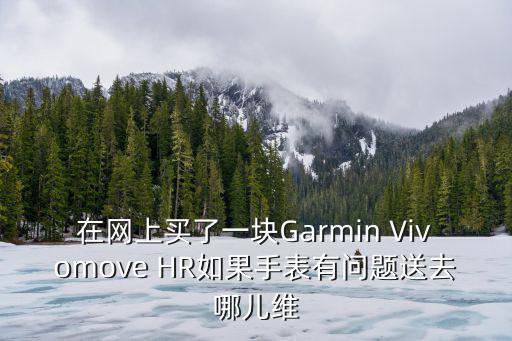 在網上買了一塊Garmin Vivomove HR如果手表有問題送去哪兒維