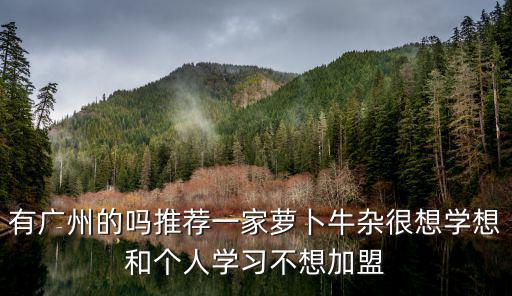 有廣州的嗎推薦一家蘿卜牛雜很想學(xué)想和個人學(xué)習(xí)不想加盟