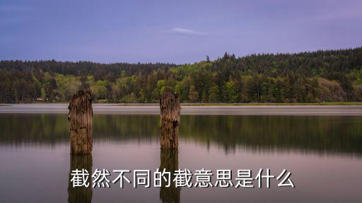  截然不同的截意思是什么