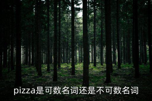 pizza是可數名詞還是不可數名詞