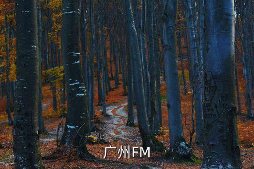 廣州FM