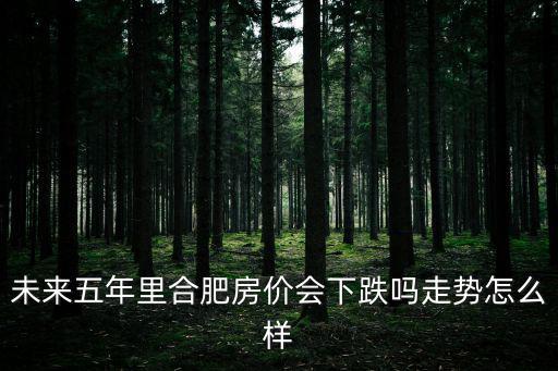 未來五年里合肥房價會下跌嗎走勢怎么樣