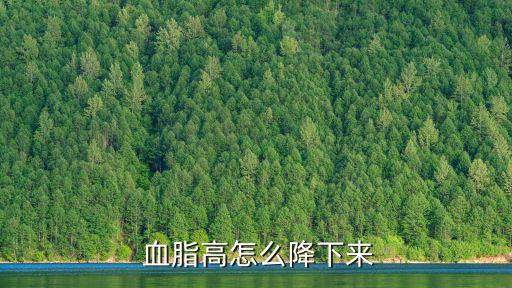 怎么降血脂最有效,血脂改善方式有很多可通過有氧運動改善