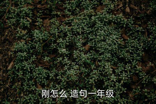 剛怎么 造句一年級