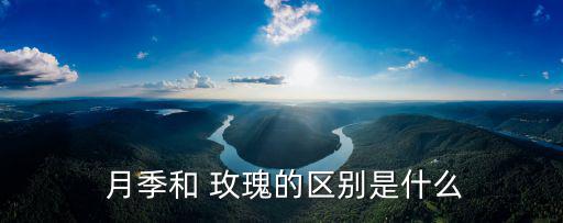 玫瑰和月季的區別圖解,月季和玫瑰之別在于葉、枝、花、期