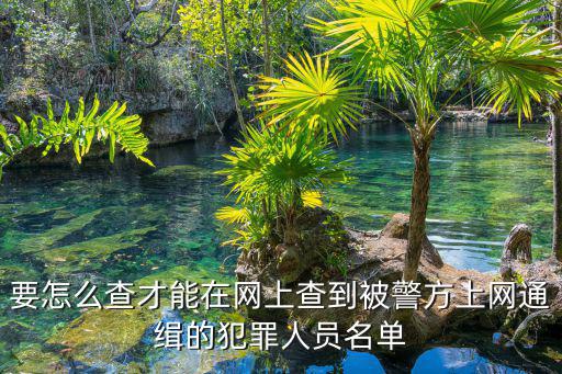 上海警方通緝人員名單，怎么在網上查看警方通緝的人