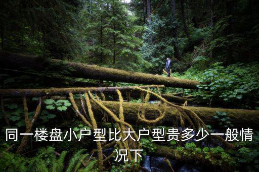 同一樓盤小戶型比大戶型貴多少一般情況下