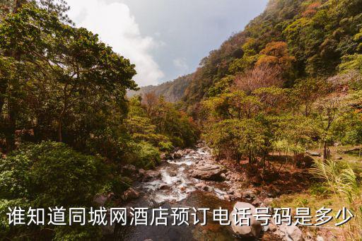 誰知道同城網酒店預訂電話號碼是多少