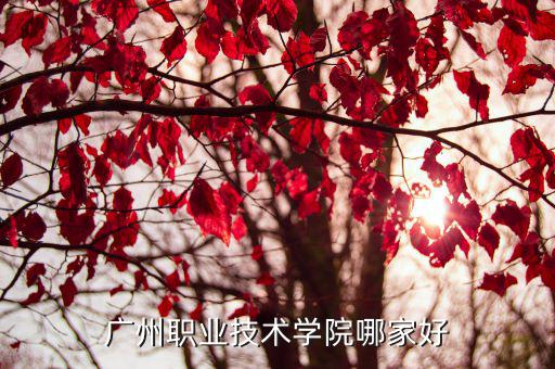 廣州職業技術學院哪家好