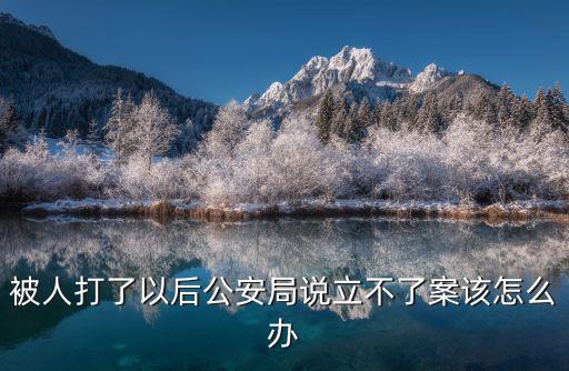 被人打了以后公安局說立不了案該怎么辦