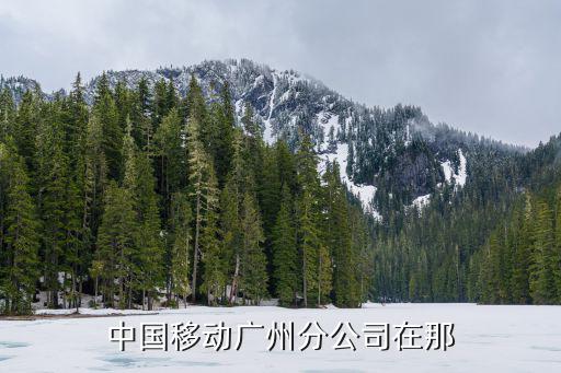 移動辦公廣州，廣州移動網上營業廳