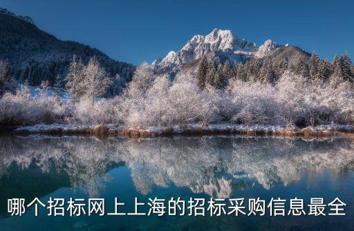 哪個招標網上上海的招標采購信息最全
