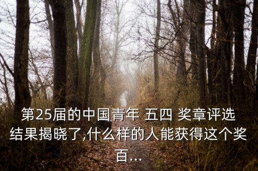 五四獎章,中國青年五四獎章第25屆表彰青年中的典型代表
