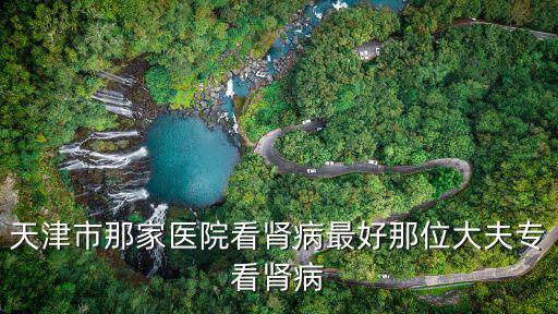 天津市那家醫院看腎病最好那位大夫?？茨I病