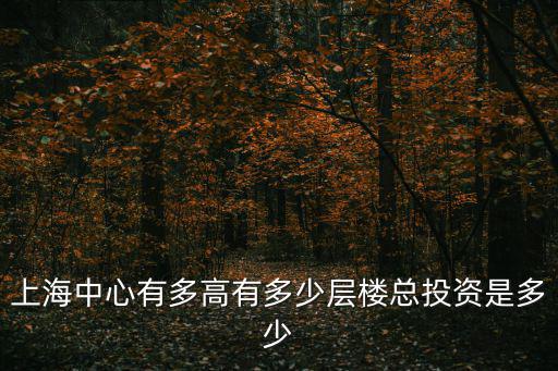 上海中心有多高有多少層樓總投資是多少