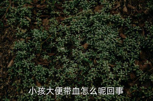 小孩大便帶血怎么呢回事
