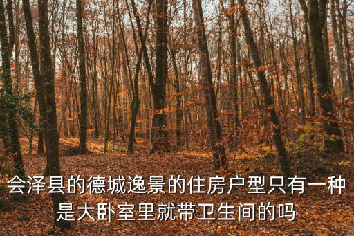 奉賢中鐵湖光逸景售樓處，會澤縣的德城逸景的住房戶型只有一種是大臥室里就帶衛生間的嗎
