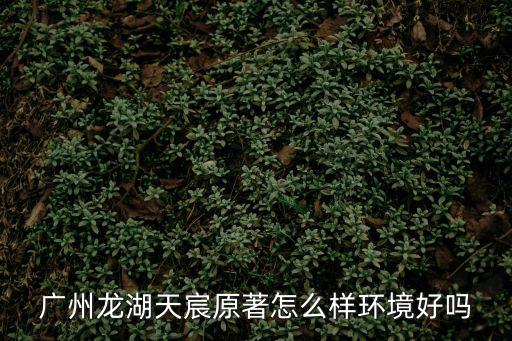 龍湖 首開天宸原著 廣州，廣州龍湖天宸原著怎么樣環境好嗎