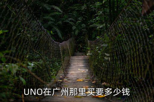 UNO在廣州那里買要多少錢
