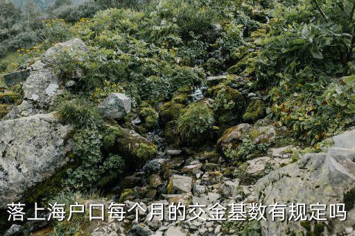 落上海戶口每個月的交金基數有規定嗎