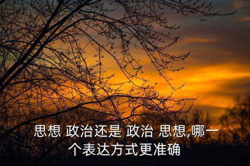  思想 政治還是 政治 思想,哪一個表達方式更準確