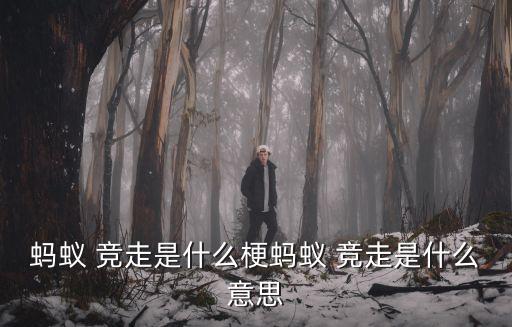 螞蟻 競走是什么梗螞蟻 競走是什么意思