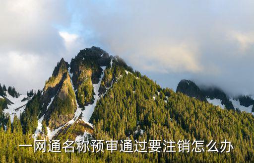 山西省企業注銷一網通平臺，一網通名稱預審通過要注銷怎么辦