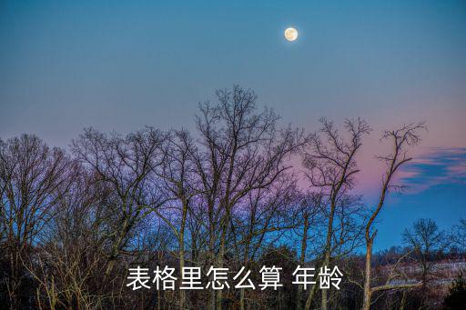  表格里怎么算 年齡