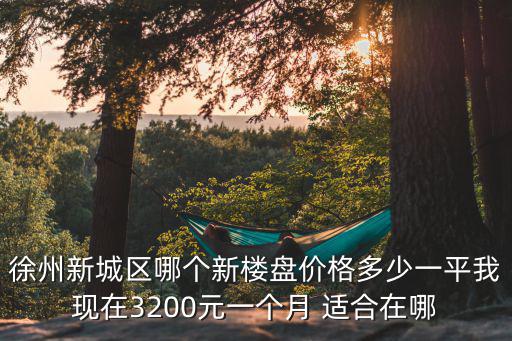 徐州城東大廟未來房價如何，徐州大體的房價是多少4000平方在那能買