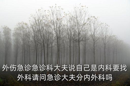 外傷急診急診科大夫說自己是內科要找外科請問急診大夫分內外科嗎