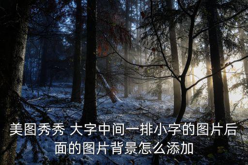 美圖秀秀 大字中間一排小字的圖片后面的圖片背景怎么添加