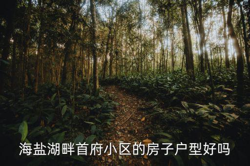 海鹽湖畔首府小區(qū)的房子戶型好嗎