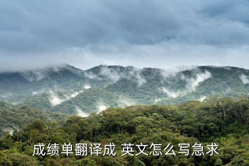  成績(jī)單翻譯成 英文怎么寫急求