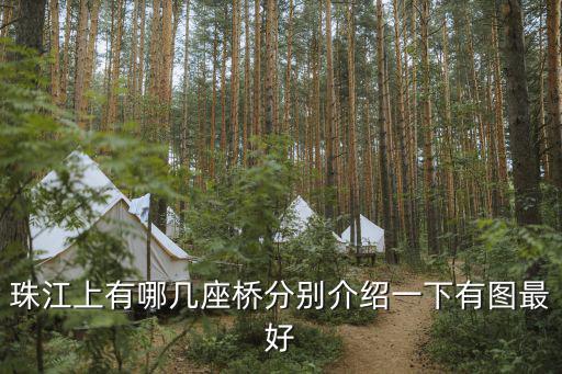 珠江上有哪幾座橋分別介紹一下有圖最好