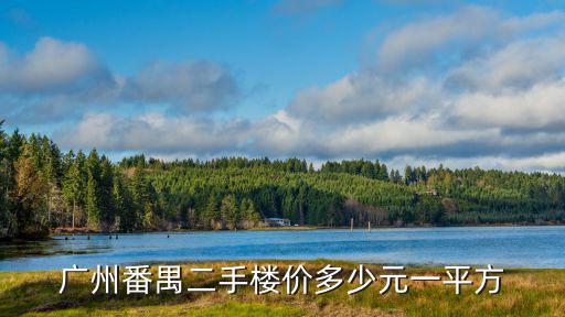 番禺中環品悅的房價如何，廣州市區2手房價