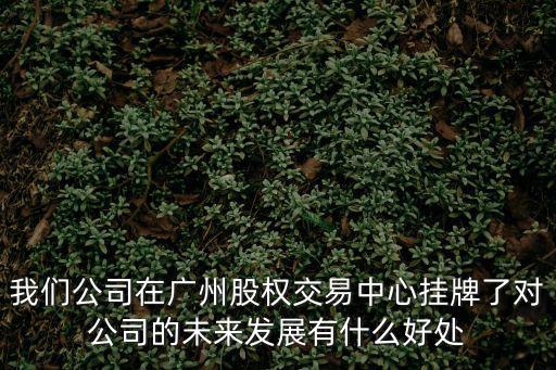 我們公司在廣州股權交易中心掛牌了對公司的未來發展有什么好處