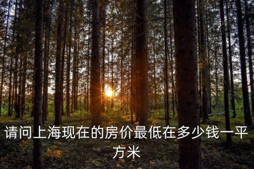 請問上海現在的房價最低在多少錢一平方米